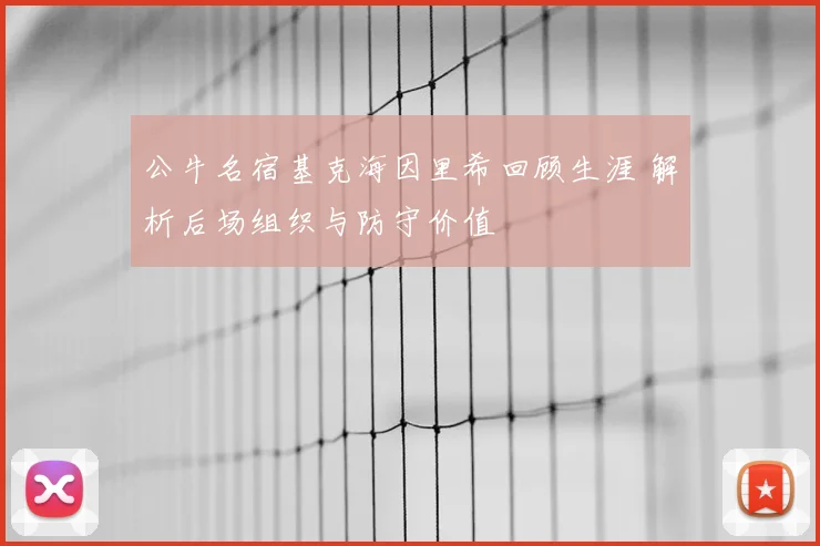 公牛名宿基克海因里希回顾生涯 解析后场组织与防守价值